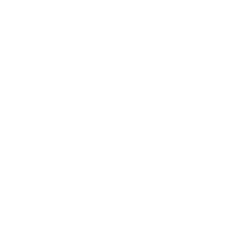 100percent